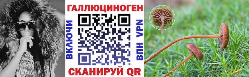 сколько стоит  сайты даркнета какой сайт  Галлюциногенные грибы Magic Shrooms  Болхов 