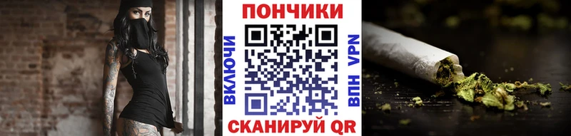 Бошки Шишки Bruce Banner закладки Болхов